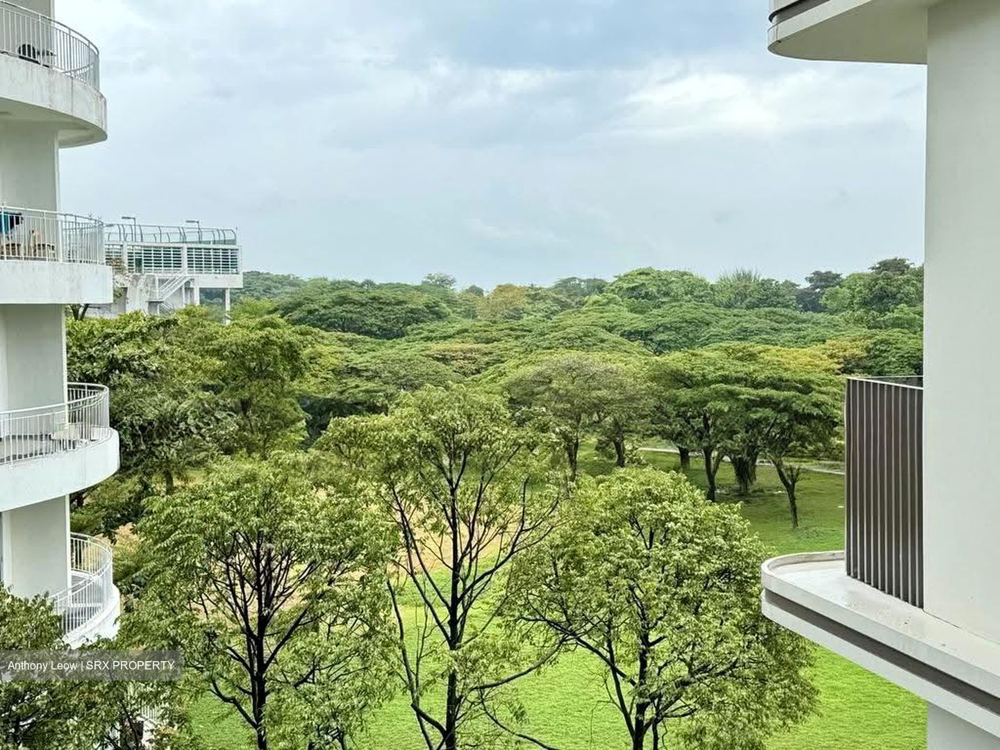 Coastline Residences (D15), Apartment #617354311